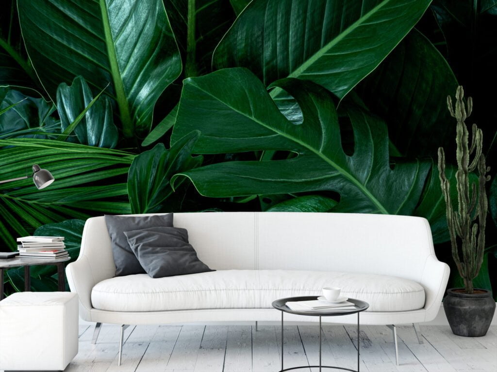 Koyu Tropikal Monstera Yaprakları Duvar Kağıdı, Yeşil Monstera Desenli Duvar Kağıdı Yaprak Desenli Duvar Kağıtları 6