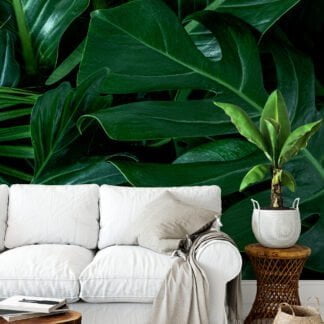 Koyu Tropikal Monstera Yaprakları Duvar Kağıdı, Yeşil Monstera Desenli Duvar Kağıdı Yaprak Desenli Duvar Kağıtları