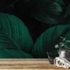 Koyu Tropikal Cannifolium Yaprakları Duvar Kağıdı, Derin Botanik Duvar Kağıdı - Görsel 5