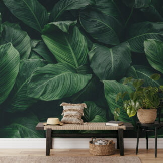 Büyük Koyu Yeşil Orman Yaprakları Duvar Kağıdı, Yeşil Tropikal Bitkiler Duvar Posteri Tropikal Duvar Kağıtları