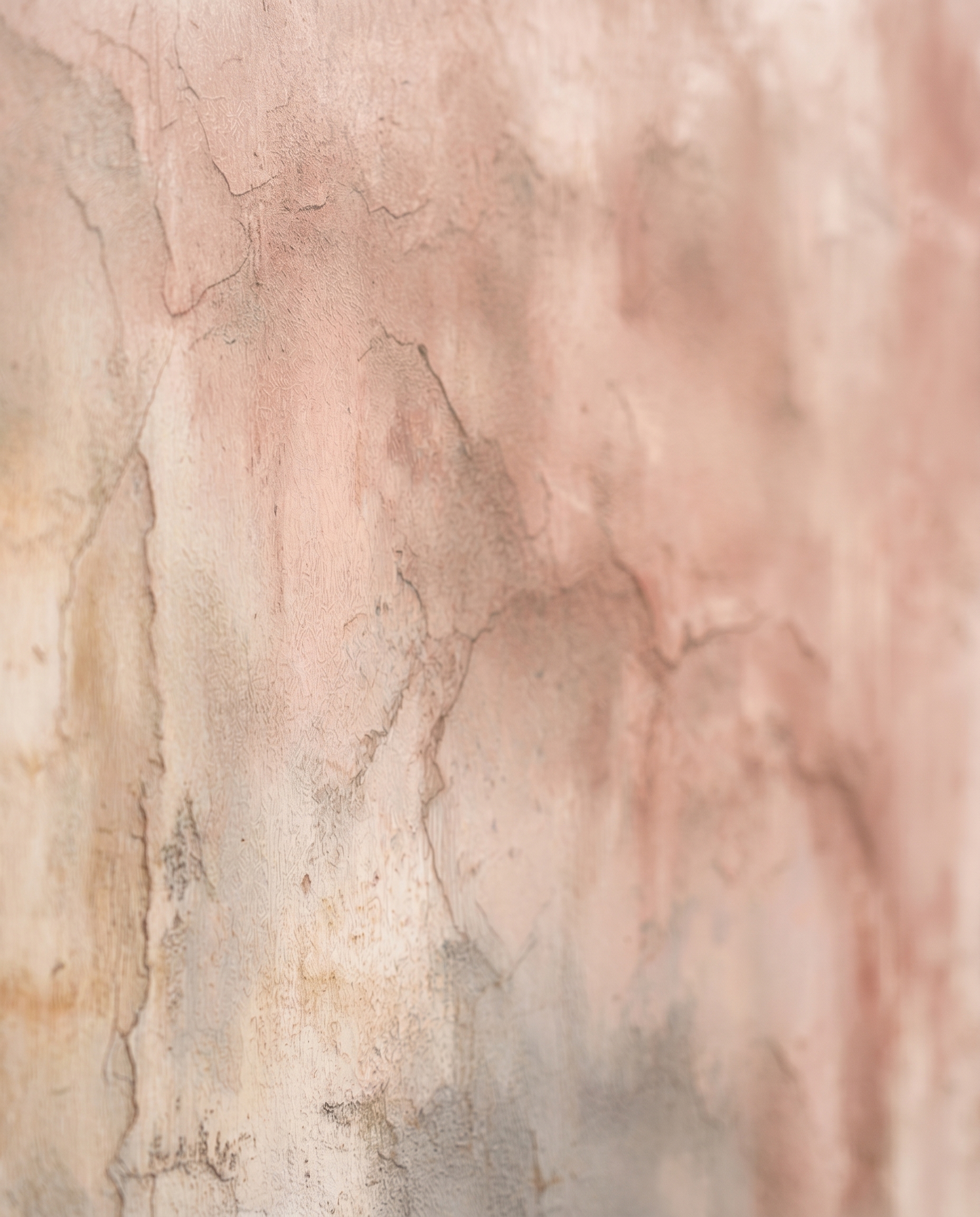 Toprak Tonlarında Eskitme Sıva Dokulu Duvar Kağıdı, Pembe Beton Görünümlü Soyut Duvar Posteri Beton Görünümlü Duvar Kağıtları 6 Toprak Tonlarında Eskitme Sıva Dokulu Duvar Kağıdı, Pembe Beton Görünümlü Soyut Duvar Posteri Beton Görünümlü Duvar Kağıtları 6